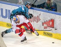 Brett Palin (Black Wings) und Thomas Raffl (EC RBS) (c) GEPA pictures Osterauer
