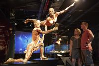 Körperwelten (c) Gunther von Hagens