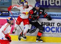 EC Red Bull Salzburg vs. Steinbach Black Wings (c) GEPA pictures Beganovic.jpg